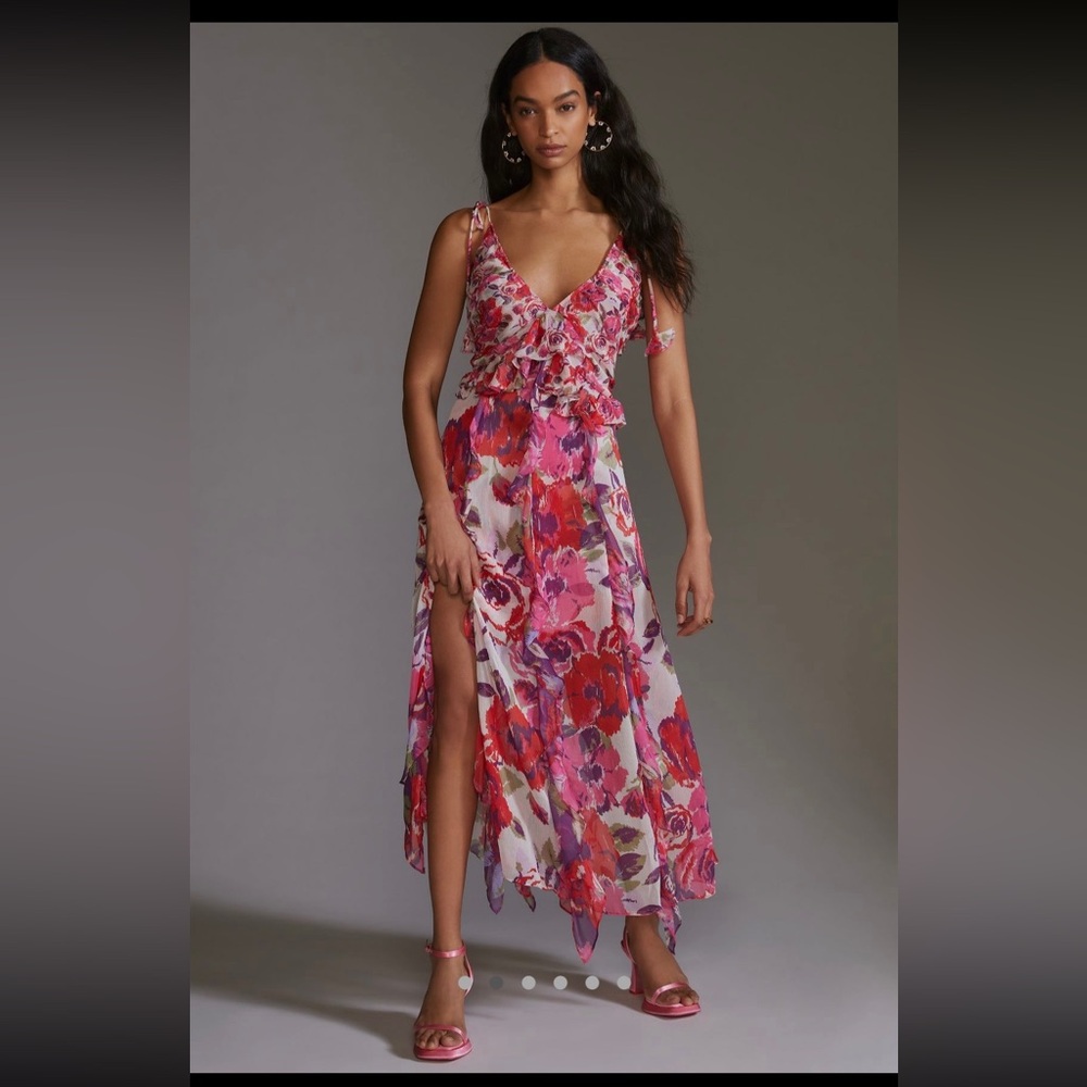 MISA Diana Flora Chiffon Maxi Dress XS